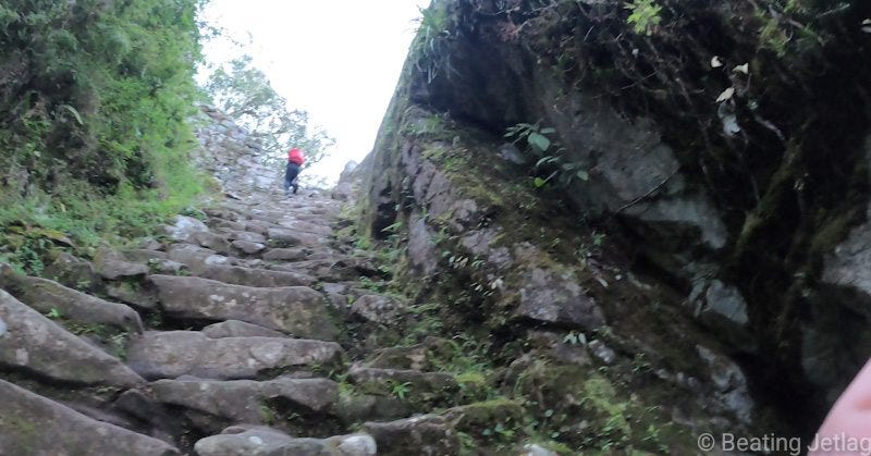 Monkey Steps to the Sun Gate on the Inca Trail to Machu Picchu, Peru