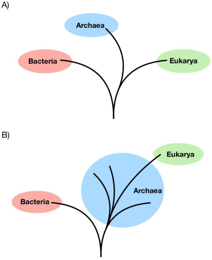 An external file that holds a picture, illustration, etc.
Object name is microbiol-05-01-048-g004.jpg