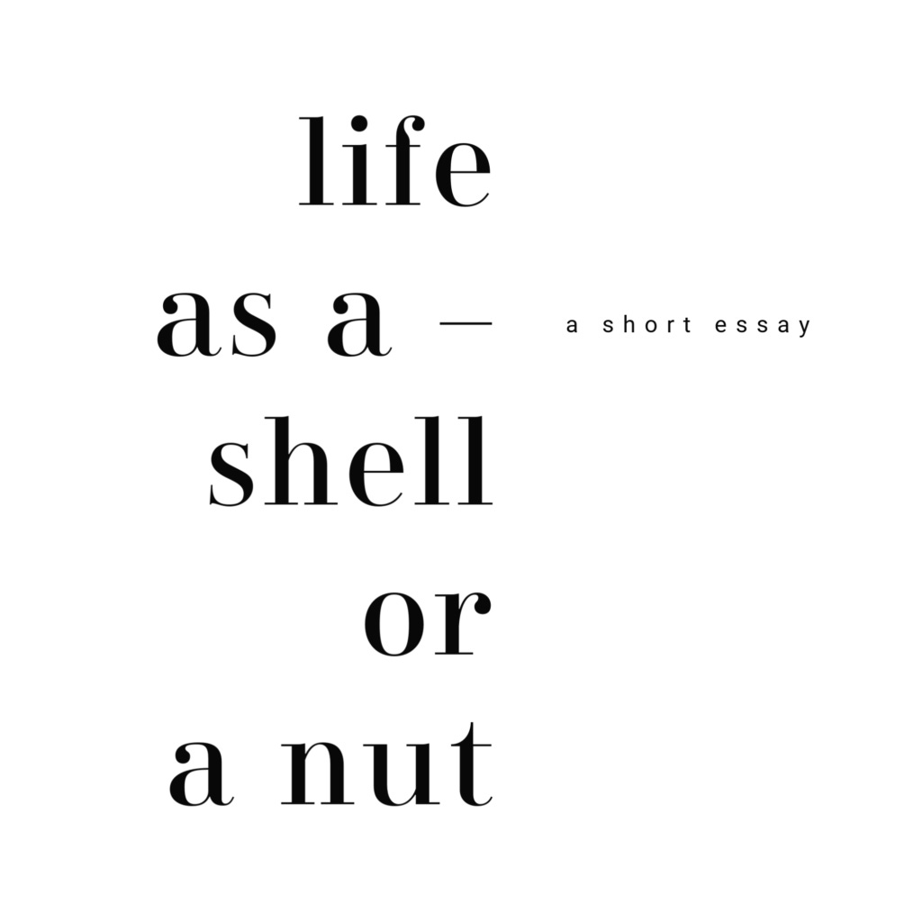 This image has an empty alt attribute; its file name is life-as-a-shell-or-a-nut-1024x1024.png