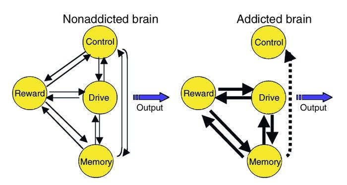 JCI - The addicted human brain: insights from imaging studies
