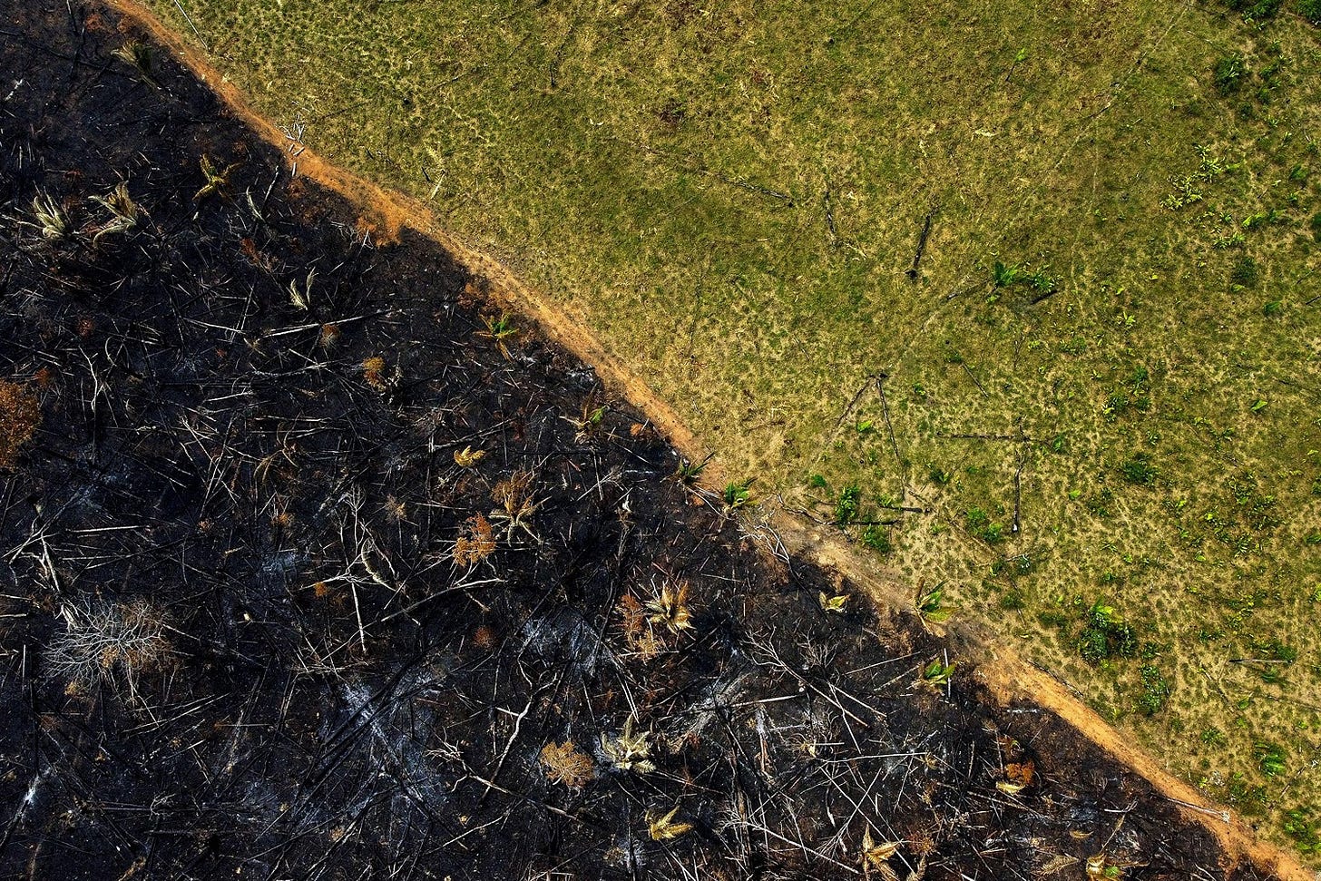 A burnt area is seen in Brazil.