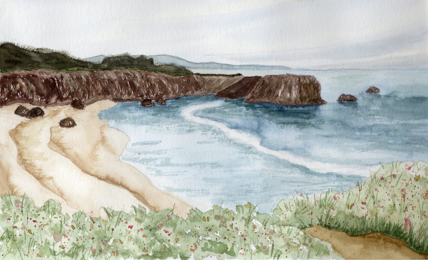 a watercolor painting of a California coast line, with plants in the foreground, sandy beach, and brown cliffs
