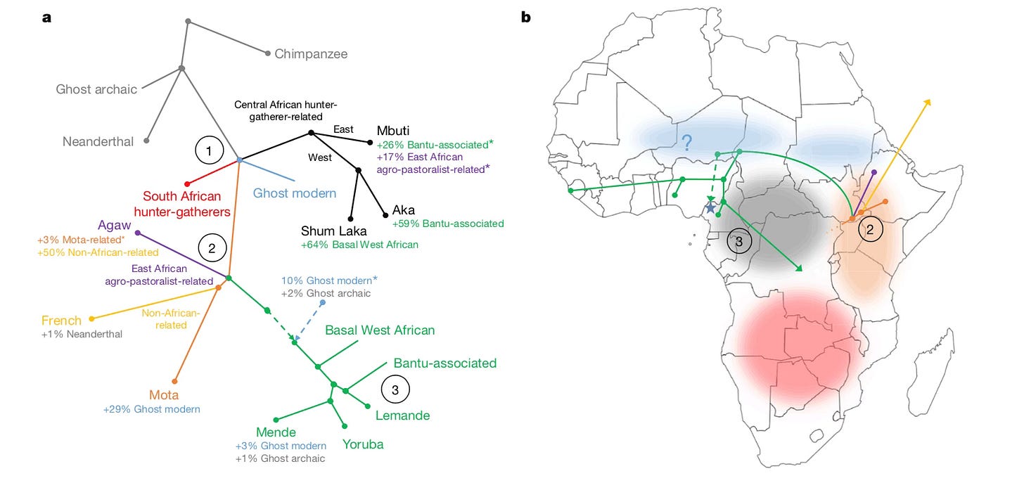 Figure with a tree on the left and a map of Africa on the right, showing various locations of populations Figure with a tree on the left and a map of Africa on the right, showing various locations of populations