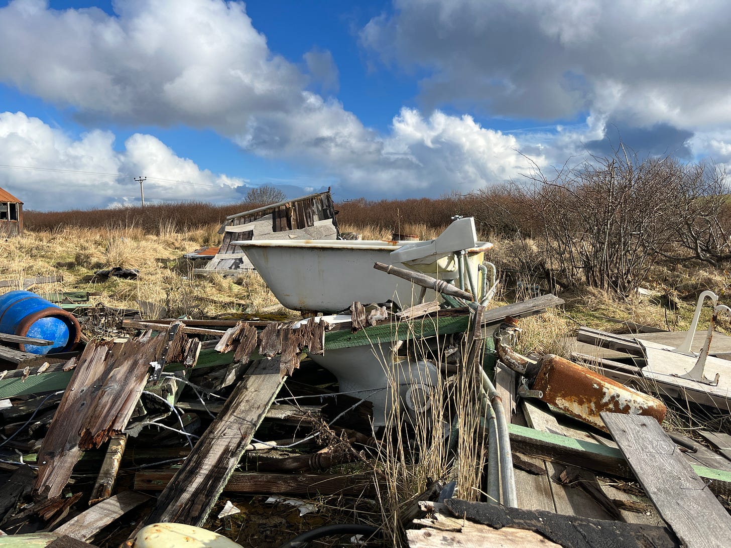 Photo of a bath and sink still standing in an overgrown area, you can just see the toilet under some wood. 