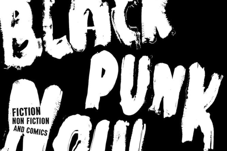 Book Review: 'Black Punk Now' edited by James Spooner and Chris L. Terry -  Little Village