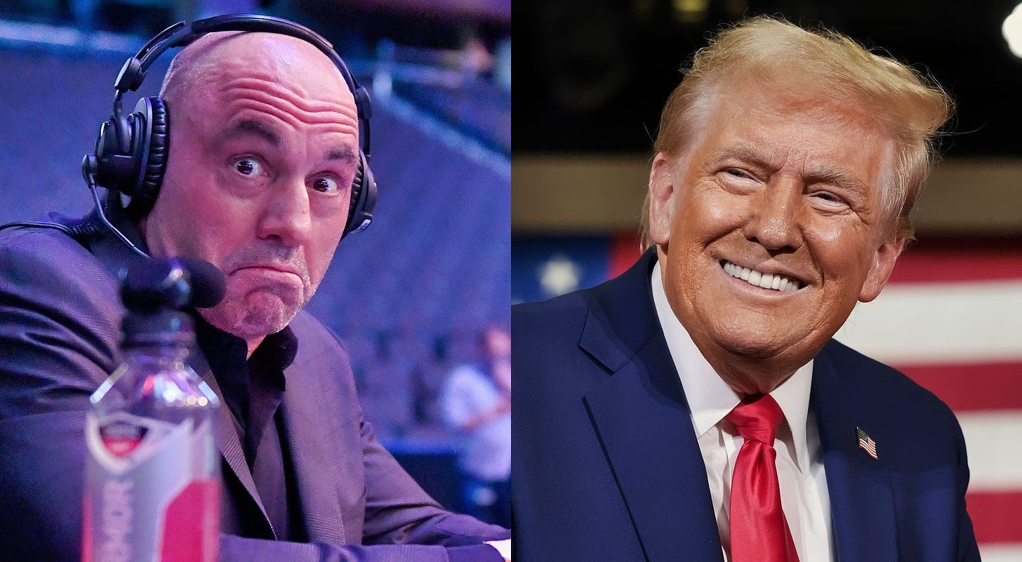 Donald Trump's Memorable Moment On Joe Rogan Experience