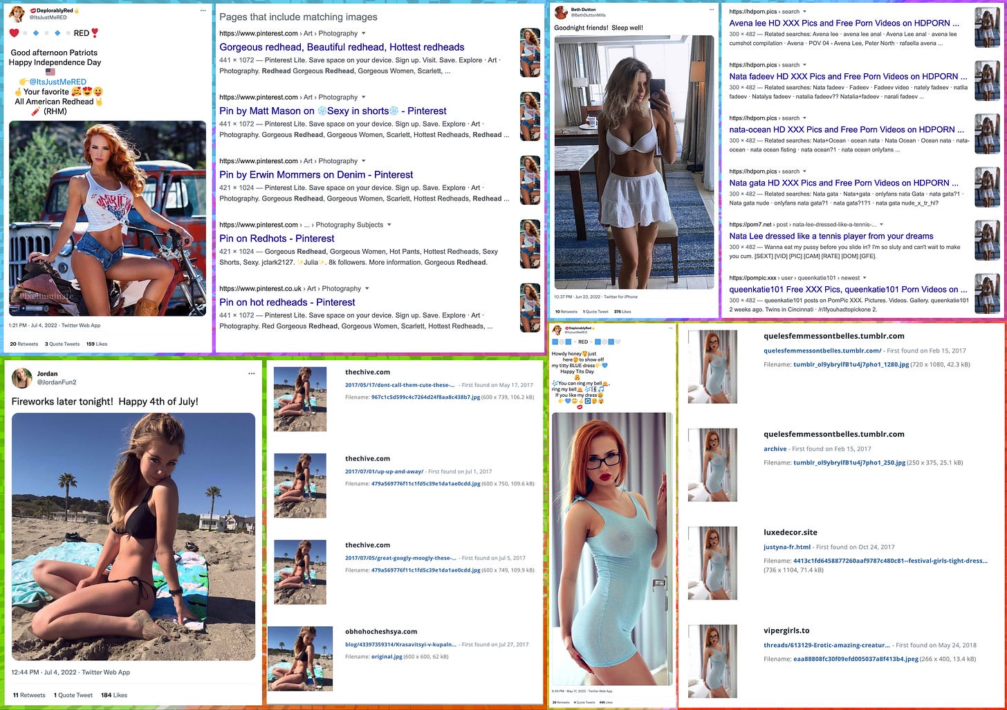 screenshots of image tweets, and reverse image searches demonstrating the images are plagiarized
