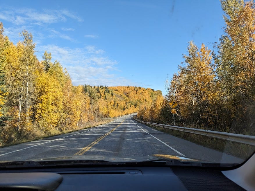 a highway with autumnal gold & yellow trees and a blue sky
