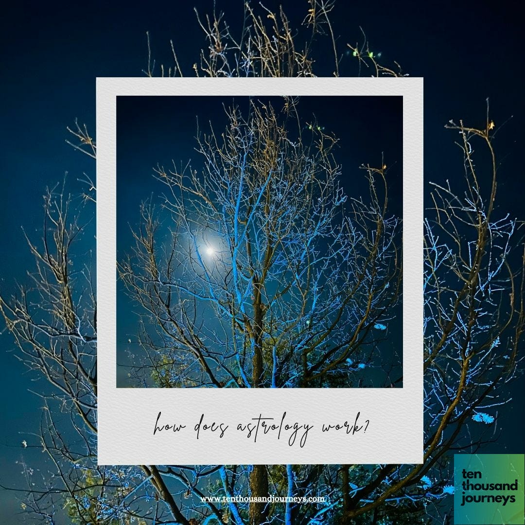 Image of moon shining behind a tree accompanying a short story on astrology