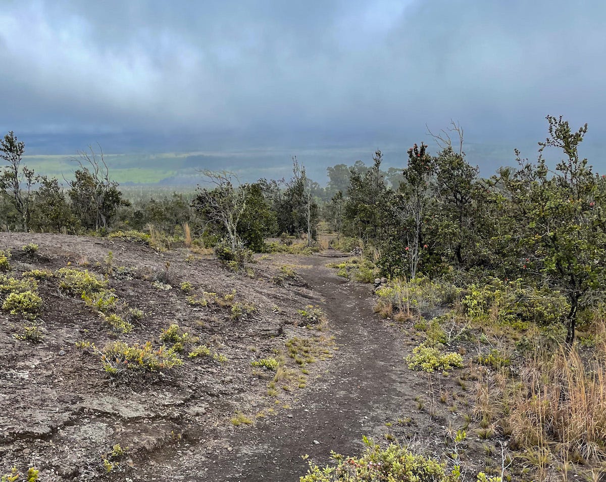 Rainy Day on Kilauea