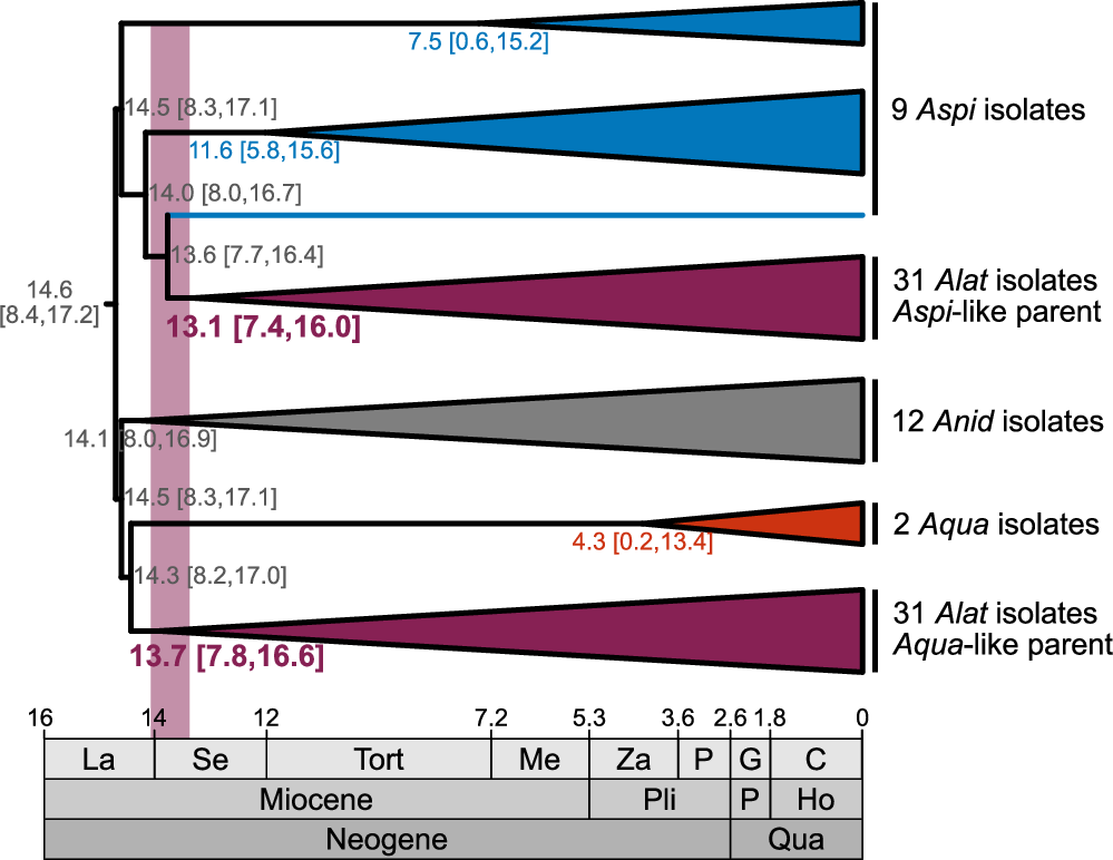 Fig. 2