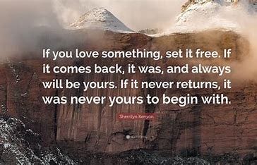 Image result for if you love something set it free