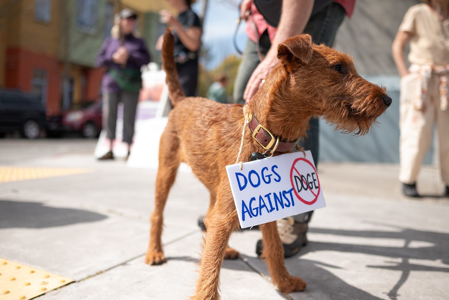 Hands Off protest held on north main street in Sebastopol.  Saturday, April 5, 2025. (ProBonoPhoto/Austin Noble)