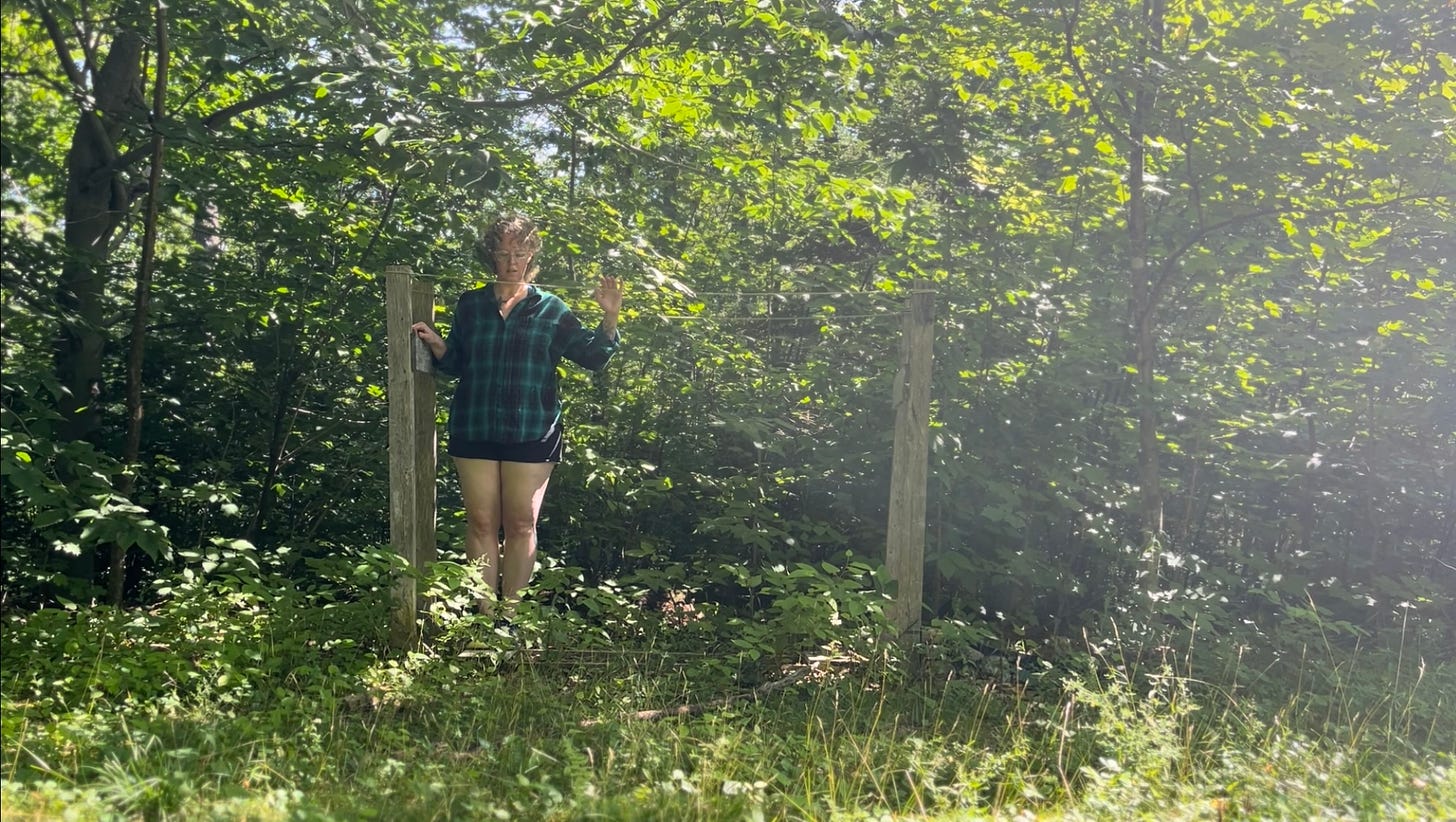 a person standing in a homemade clothesline frame in a lush green wood with sunlight filtering in