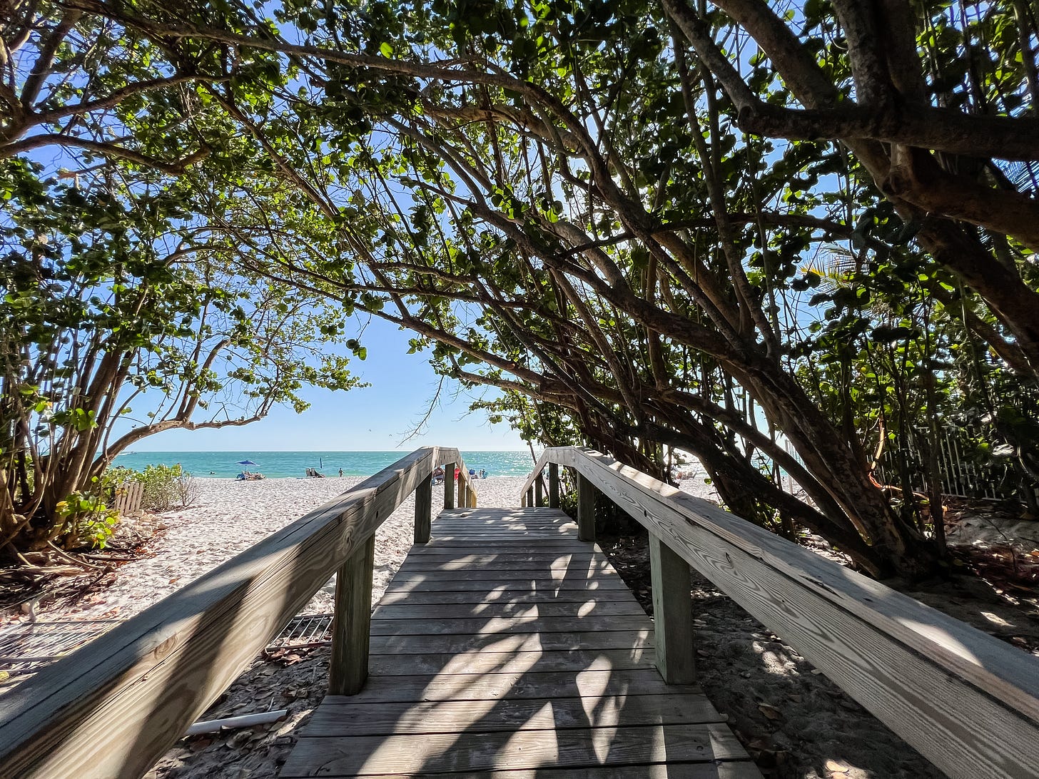 Photo of a wooden boardwalk shrouded in a canopy of trees with sunlight streaming through as the path leads to a sandy beach on a clear blue sky day.