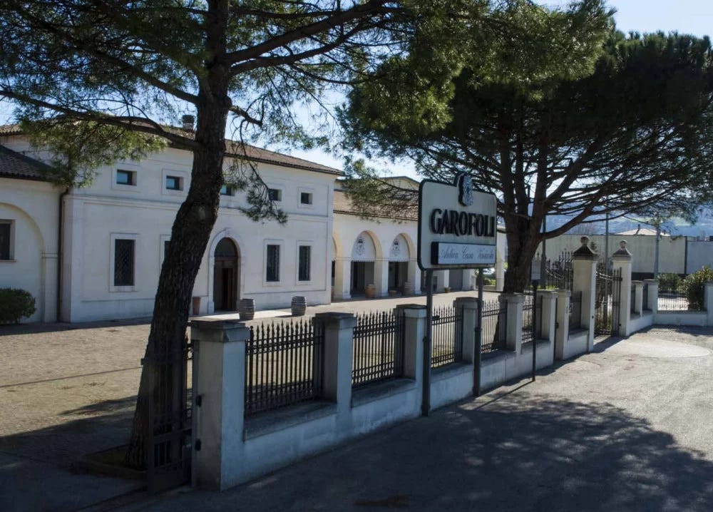 Classic Tour "Discover Marche" & Wine Tasting at Garofoli
