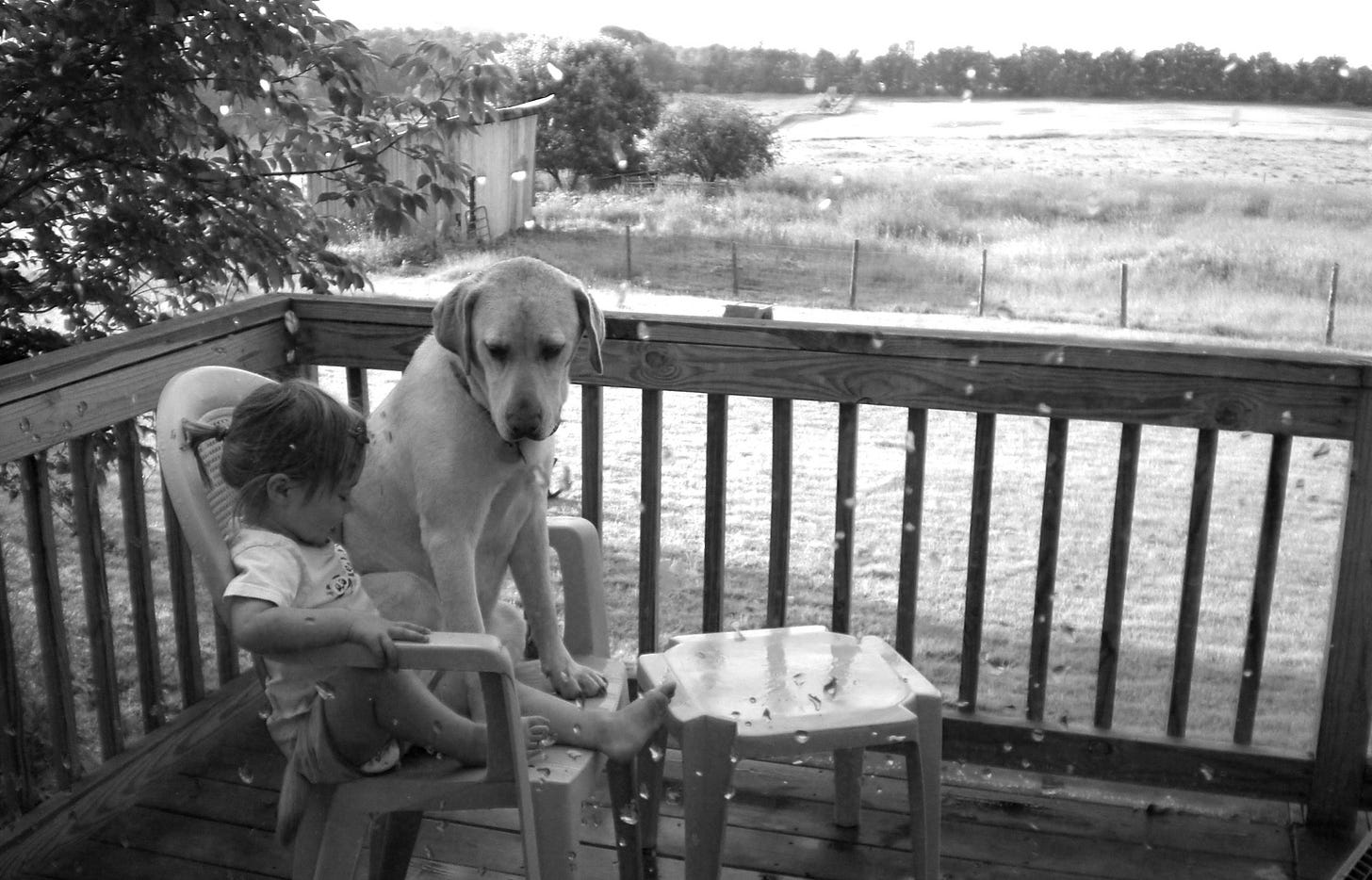 Dog and a toddler sharing a chair on a deck overlooking a yard and pasture.