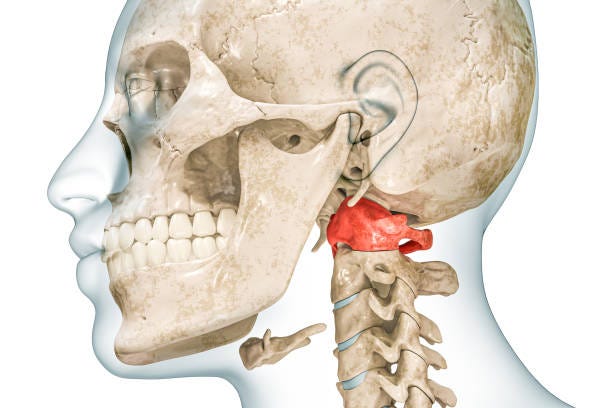 4,700+ Cervical Spine Anatomy Stock Photos, Pictures & Royalty-Free Images - iStock 4,700+ Cervical Spine Anatomy Stock Photos, Pictures & Royalty-Free Images - iStock