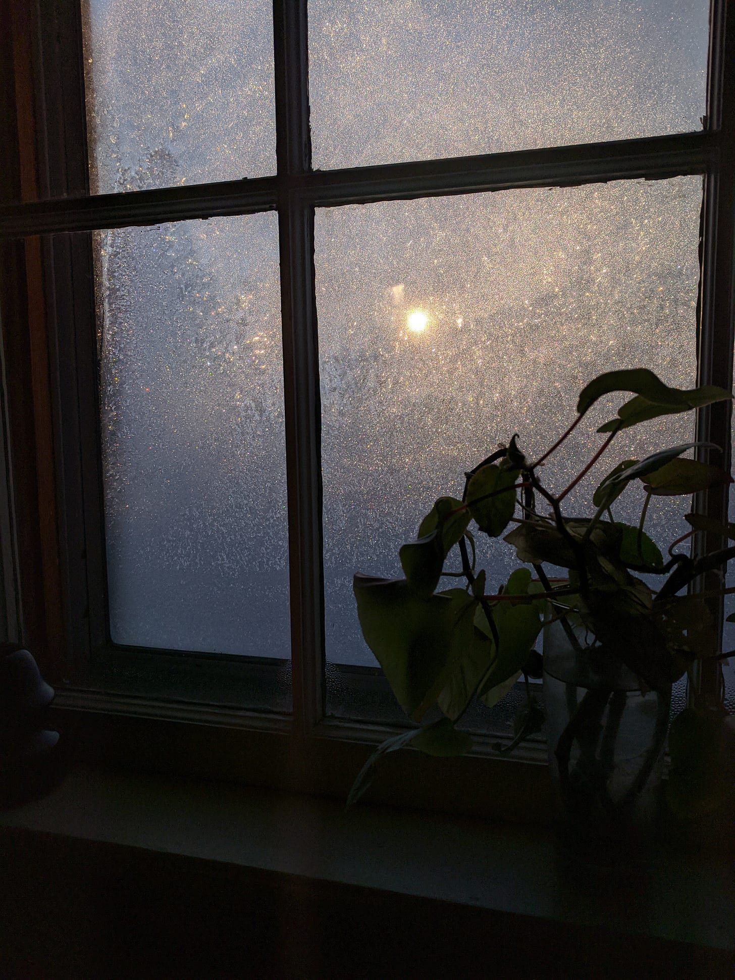 A screen window clogged with frost. The sun is shining through it.