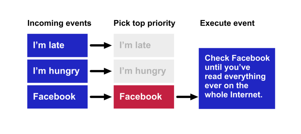 The Brain's Priority System