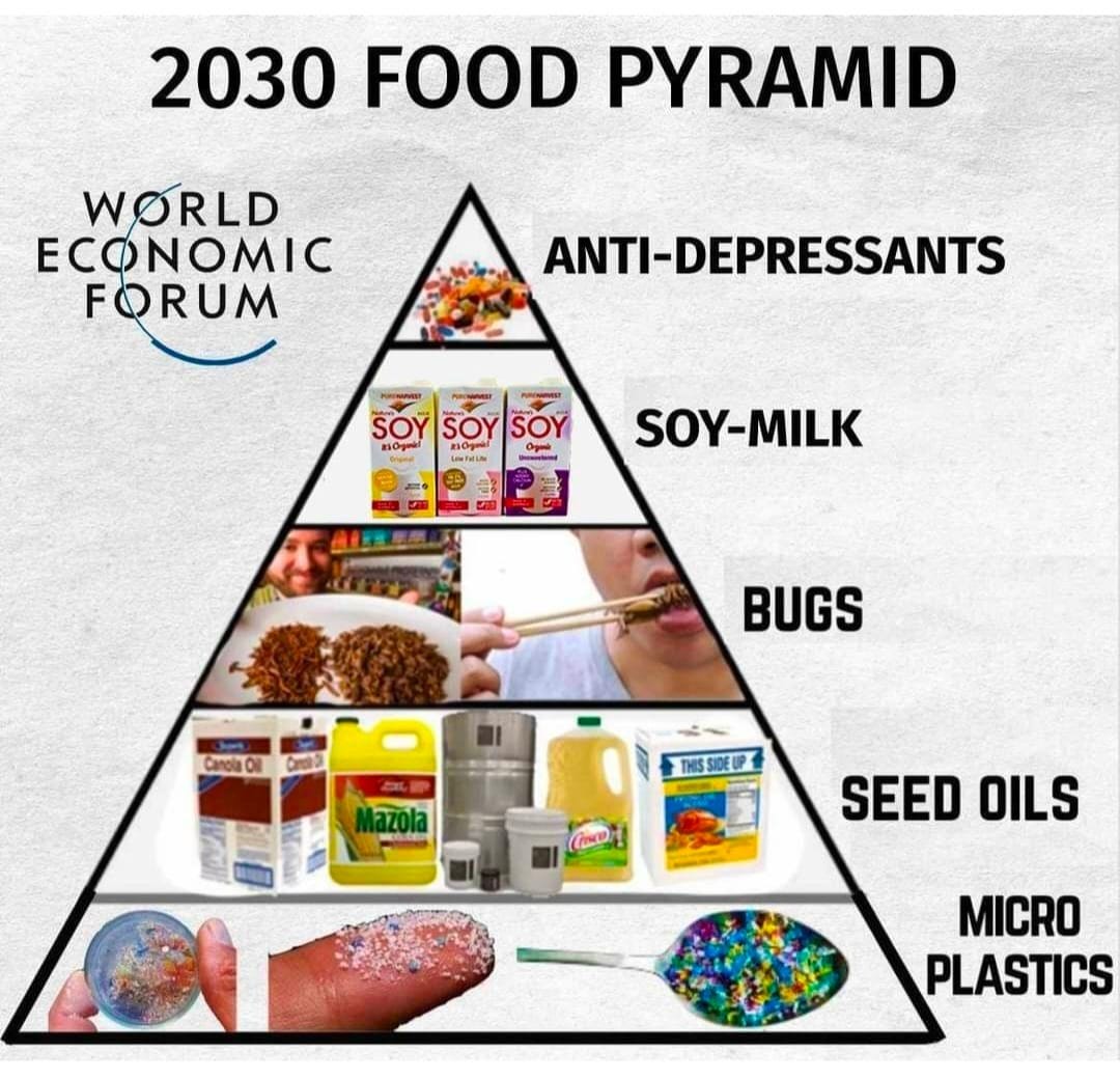 May be an image of 1 person and text that says '2030 FOOD PYRAMID WORLD ECONOMIC FORUM ANTI-DEPRESSANTS ம்டம 어 SOY-MILK BUGS azola e SEED OILS MICRO PLASTICS'