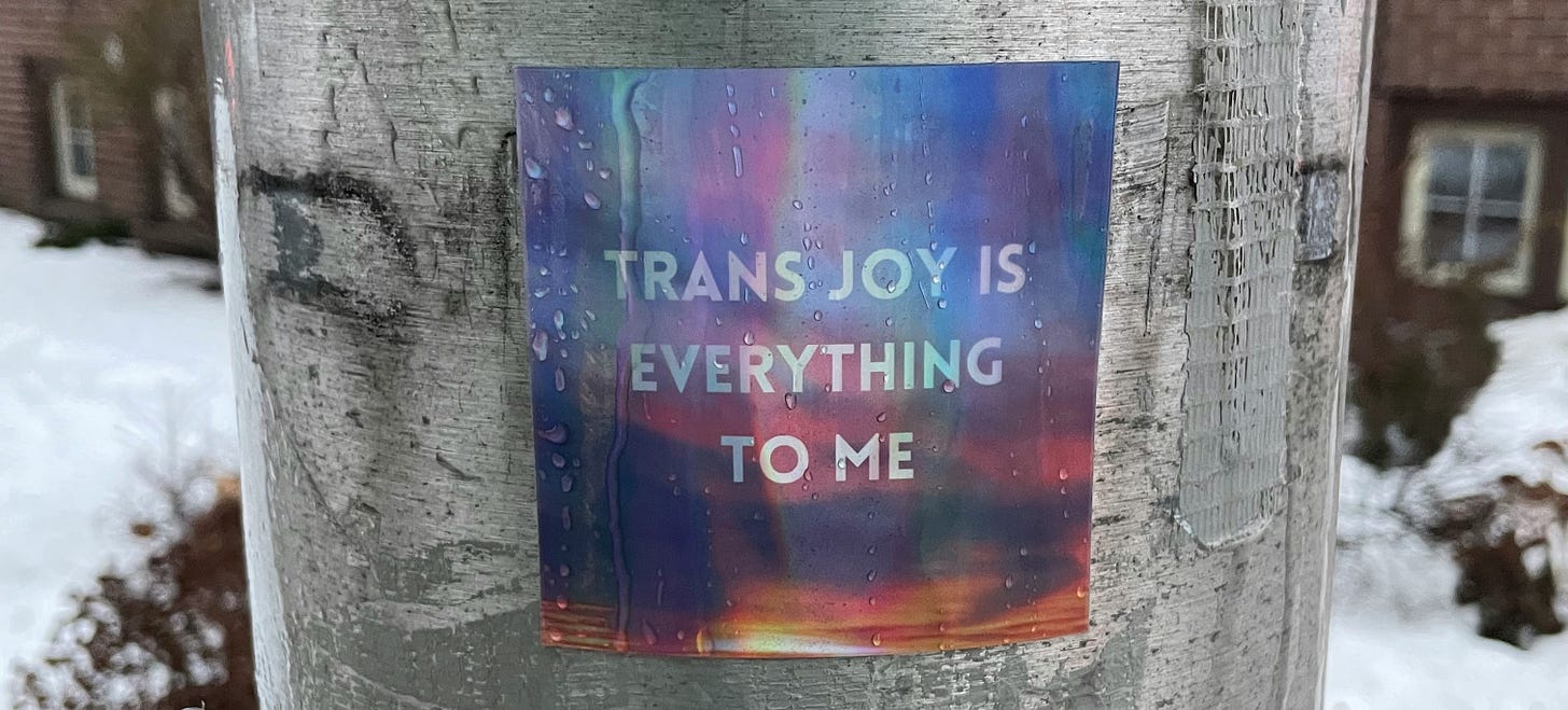 A sticker attached to a metal pole reads "Trans joy is everything to me."