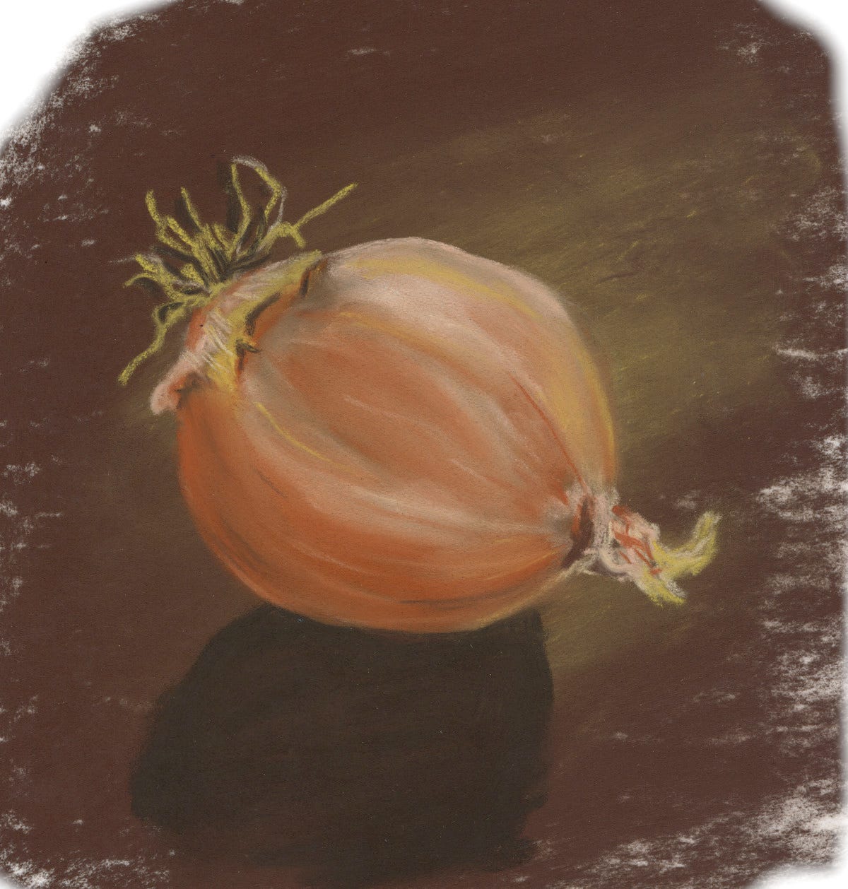 Oignon au pastel sec par Lucie Choupaut