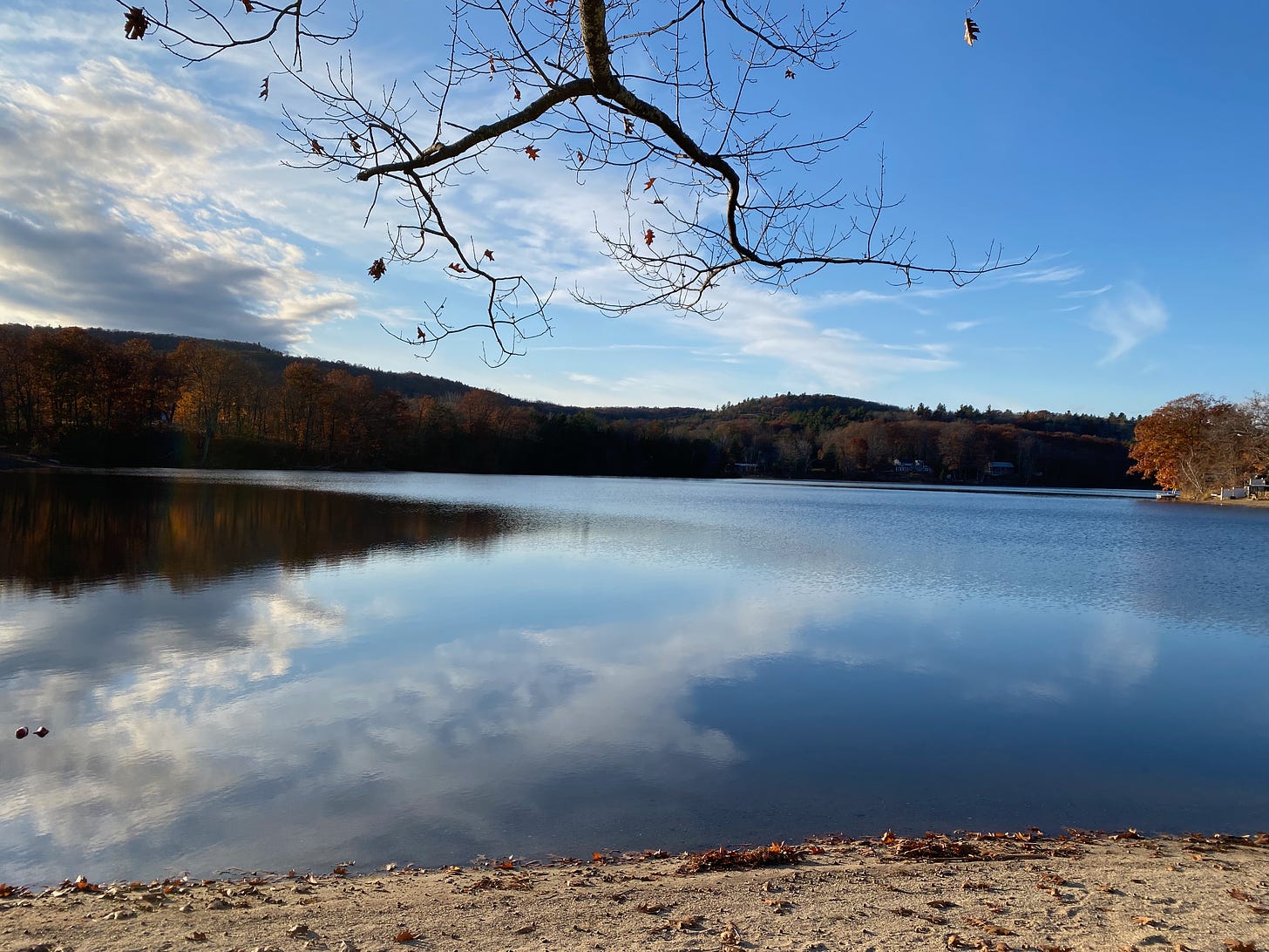 Ashfield Lake on a late fall day; clouds and trees are reflected in the still water. A mostly-leafless branch hangs over the lake.