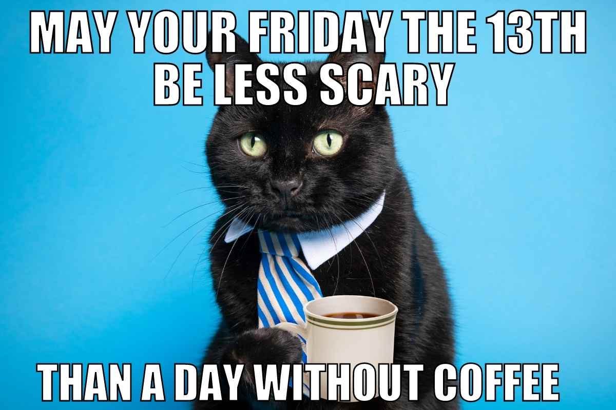 Friday The 13th Cat Meme