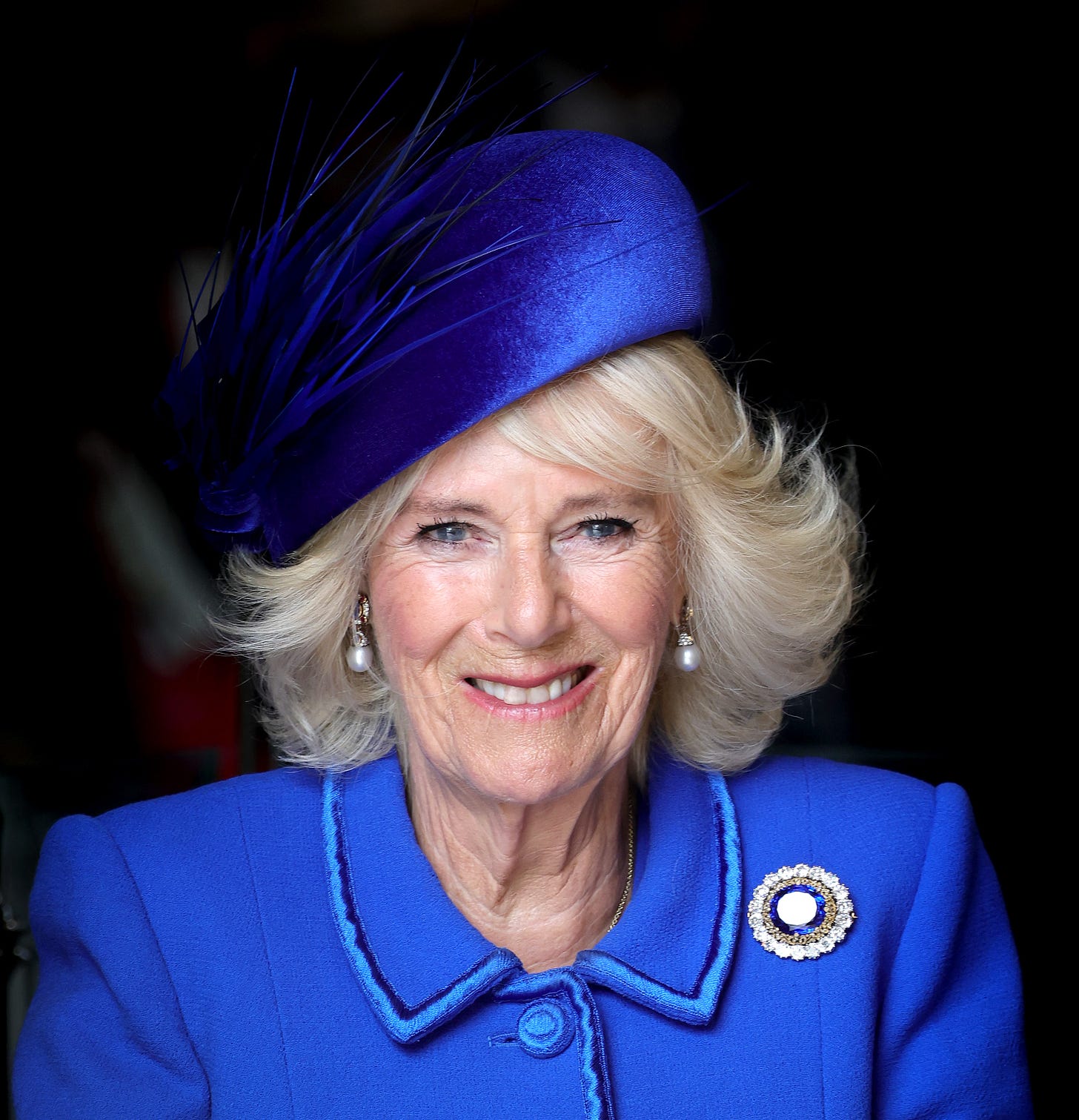 queen camilla wearing blue outfit