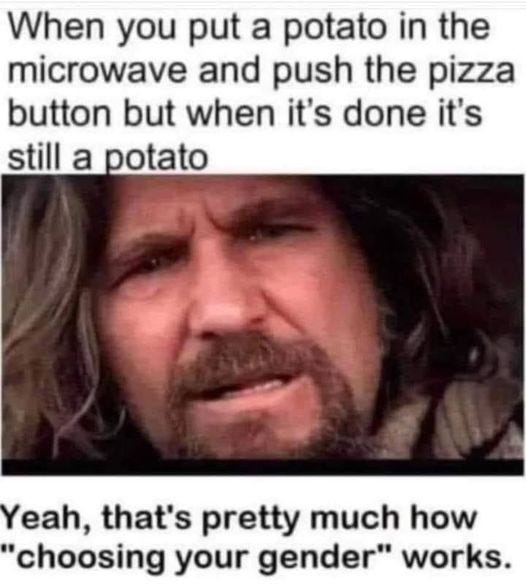 May be an image of 1 person and text that says 'When you put a potato in the microwave and push the pizza button but when it's done it's still a potato Yeah, that's pretty much how "choosing your gender" works.'