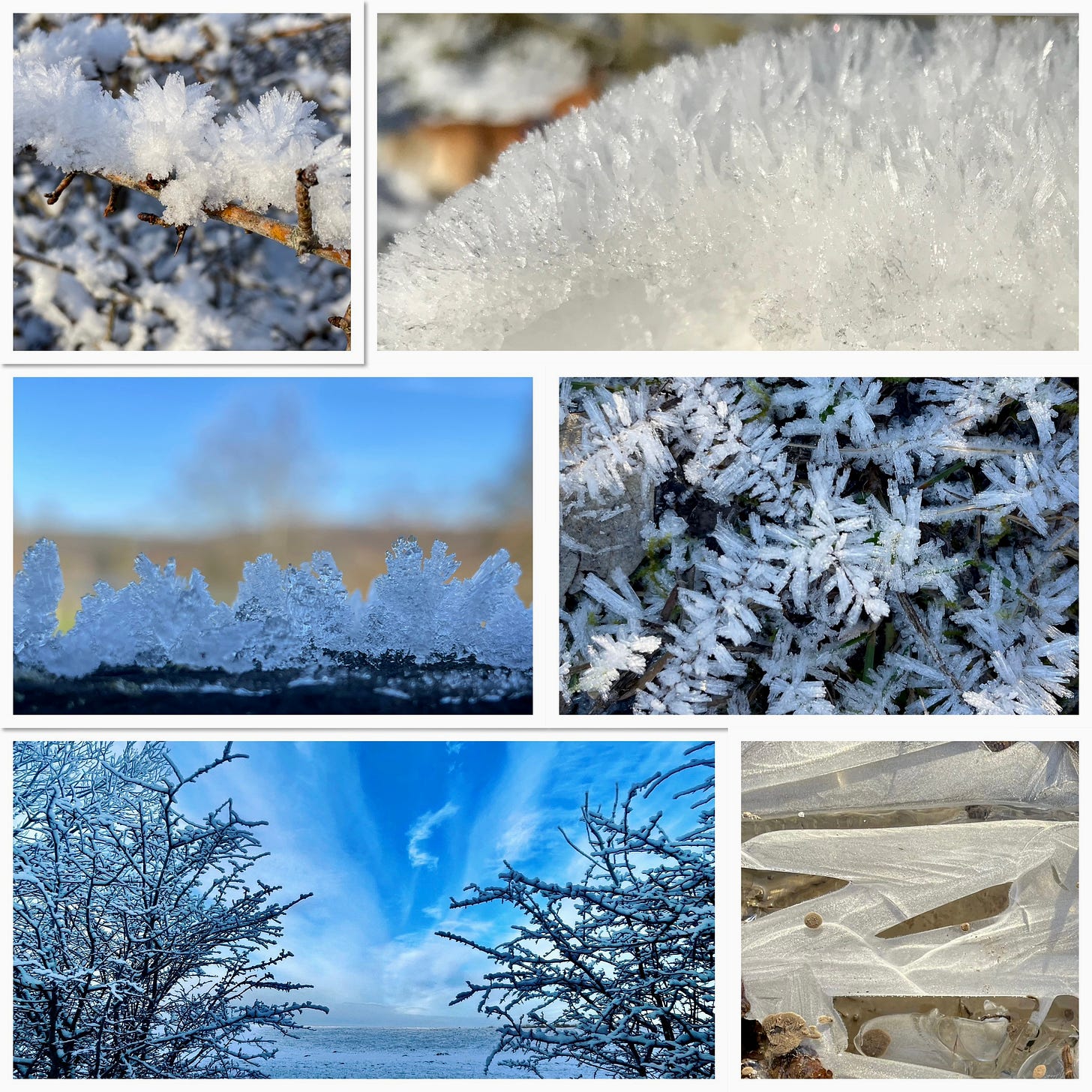 Images of frozen grasses, ice crystals on branches, fence posts, puddles and a dramatic winter sky