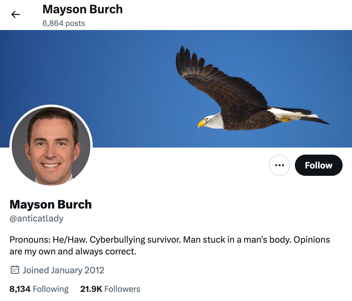 screenshot of the @anticatlady/"Mayson Burch" X account's profile