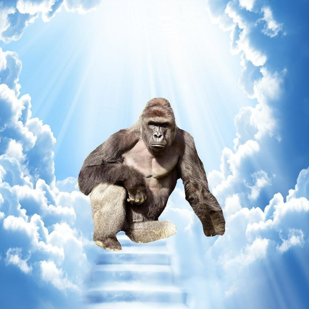 Steam Community :: :: Harambe in Heaven