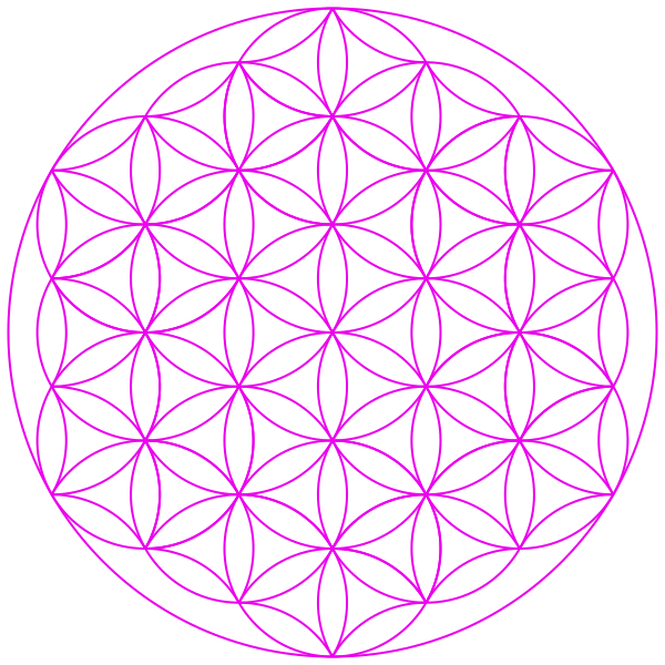 The "flower of life" image--a lattice of overlapping circles creating repeating flower-like shapes