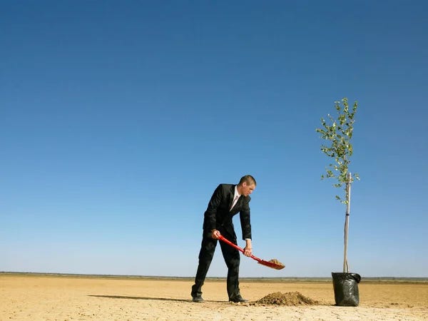 Businessman Planting Tree Desert — Stock Photo, Image