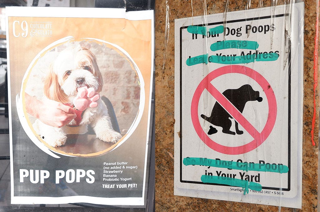 two signs. one advertising pup pops, ice cream for pups and another warning against dogs pooping on the property. dog poop in my yard, I'll poop in yours, it says.