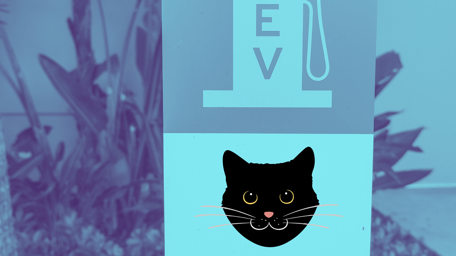 Image of EV charging station and a cat face