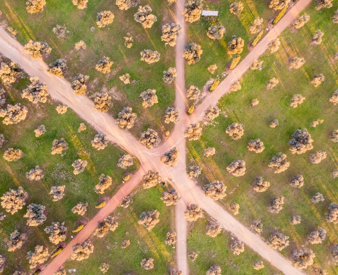 Foto de uma paisagem vista de cima, como uma maquete. Três caminhos de terra se cortam em um cenário rural, formando uma encruzilhada tripla, com diversos cruzamentos, como se um triângulo estivesse no meio. Por toda a foto, a grama é verde e as árvores foram plantadas de forma organizada, com uma distância padronizada. As árvores têm folhagem clara. É dia.