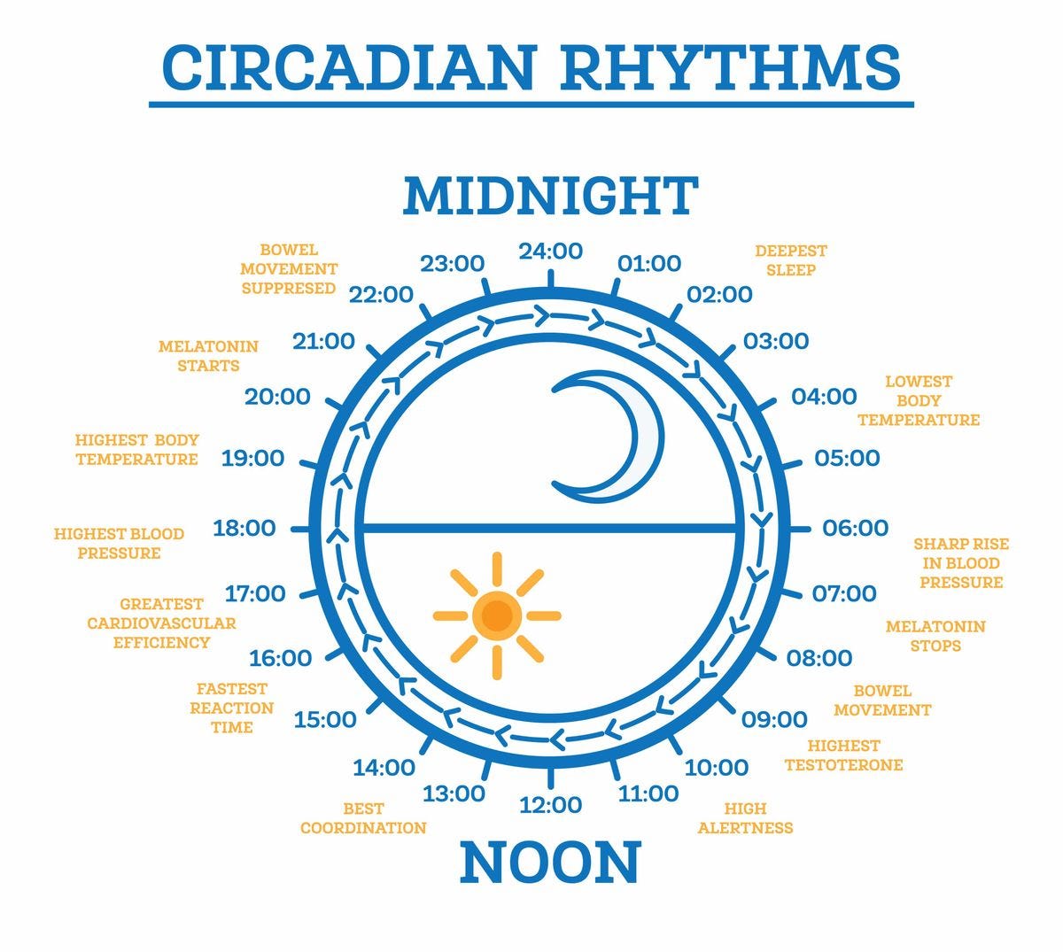 Infographic on Circadian Rhythm - Fatigue Science