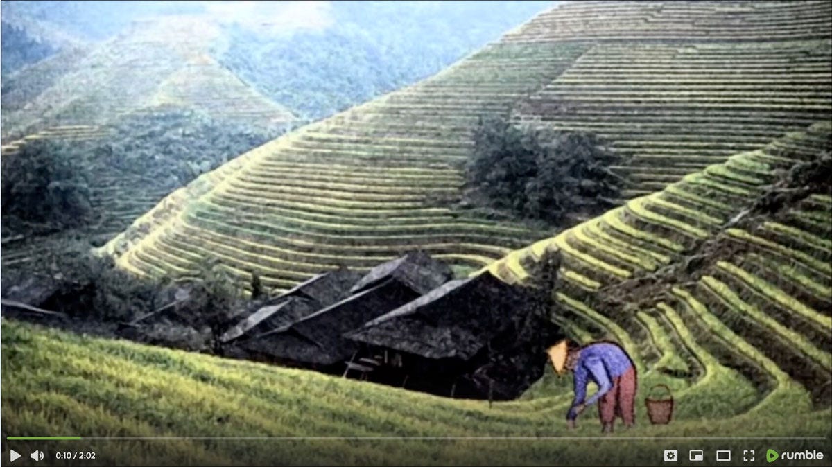 The Chinese Farmer (Maybe) by Alan Watts