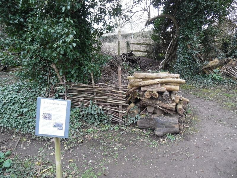 Hedgehog habitat built with cut wood Hedgehog habitat built with cut wood