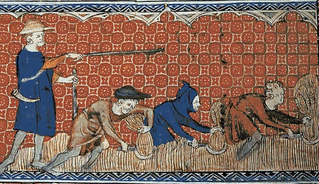 What Was Life Like for Peasants During the Middle Ages? - Twinkl Homework  Help