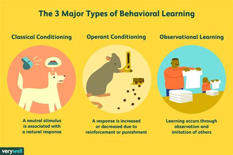 What Is the Psychology of Learning?