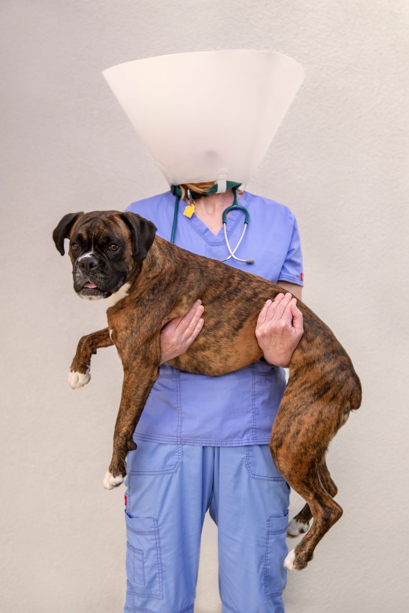 A person holding a dog

Description automatically generated