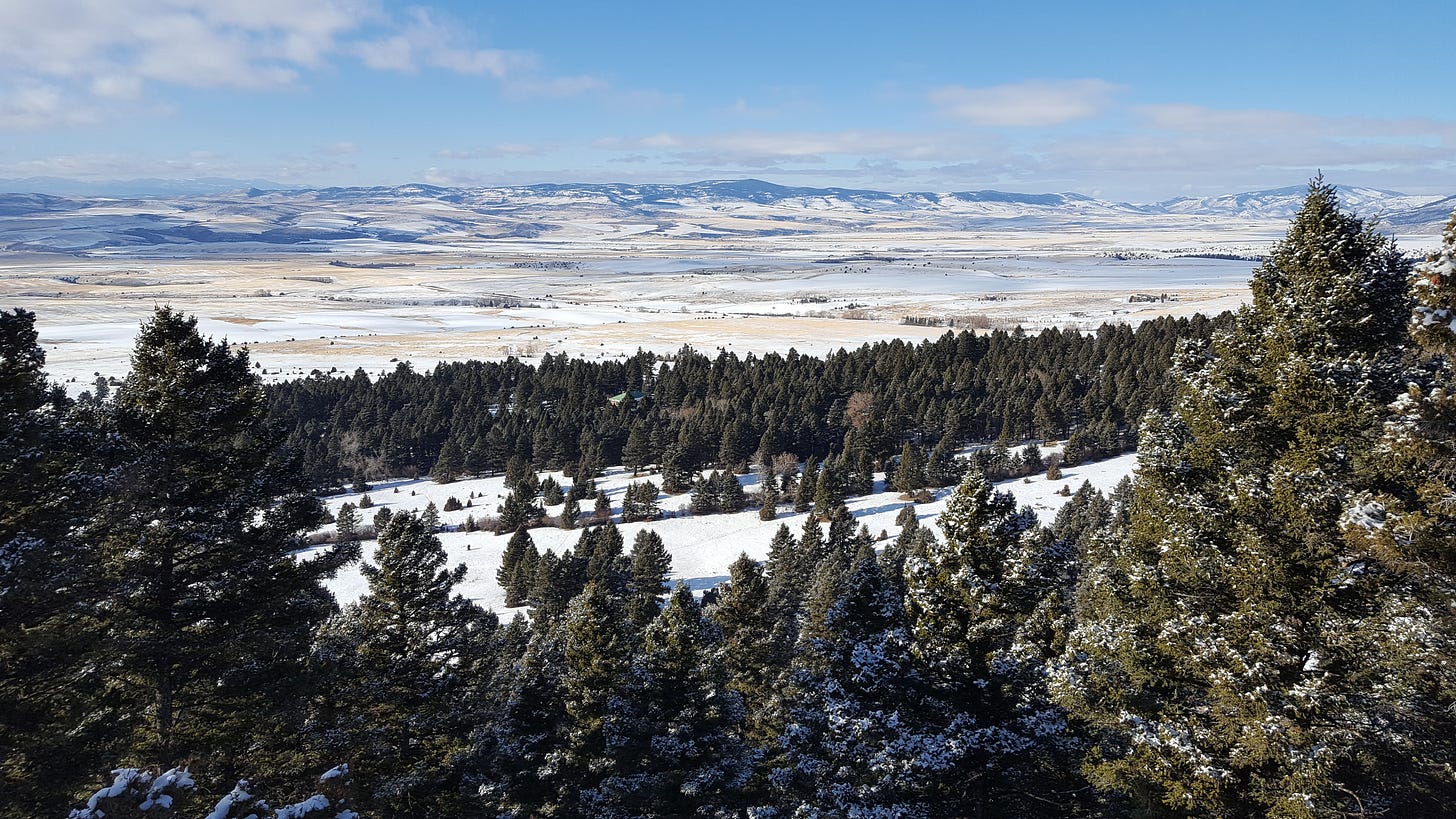 Blue sky and a few clouds over a snowy mountain landscape with evergreen trees in the foreground.