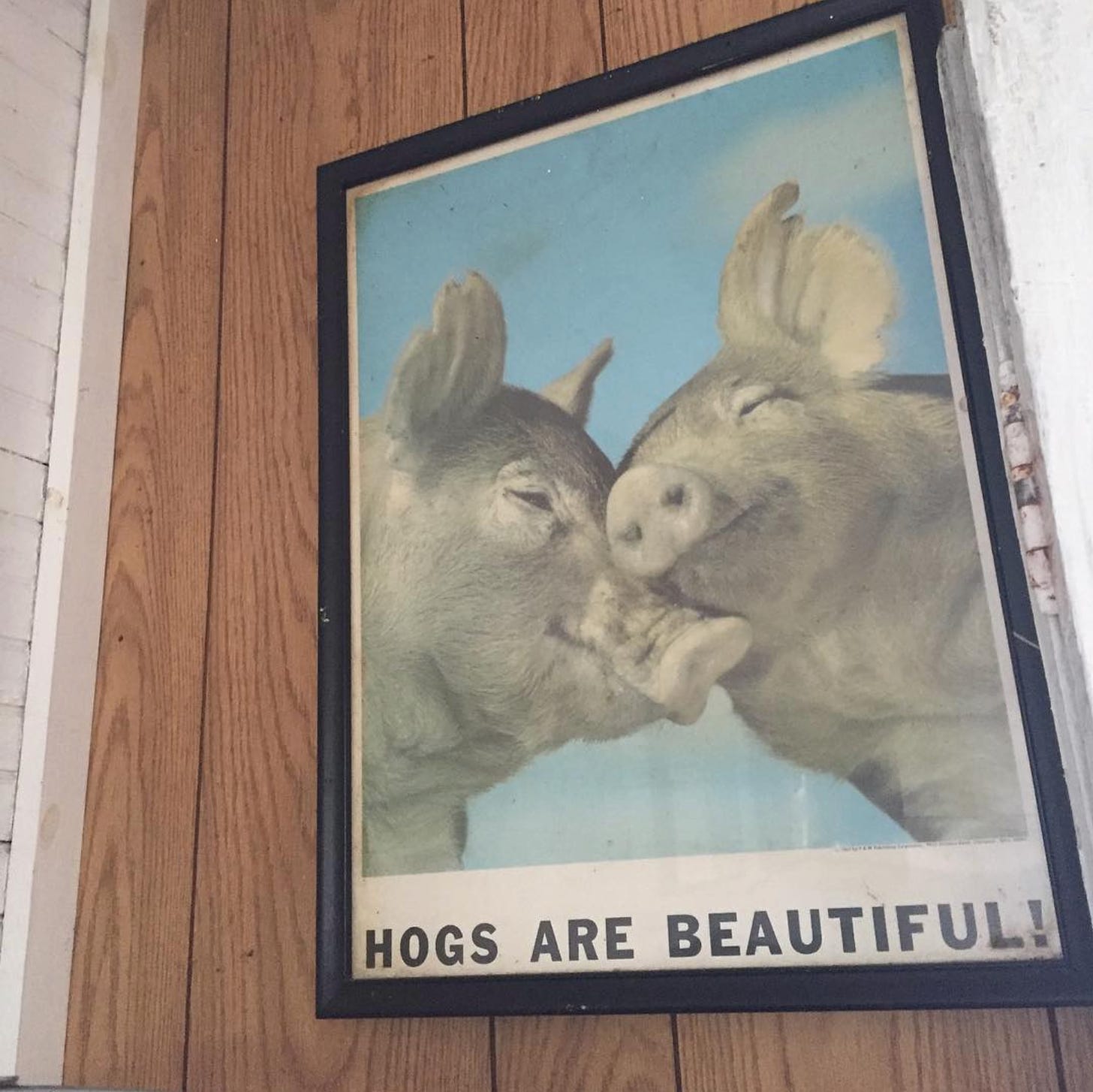 "hog's are beautiful" poster at b's barbecue