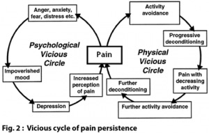 Breaking the Pain Cycle - AMS Clinic