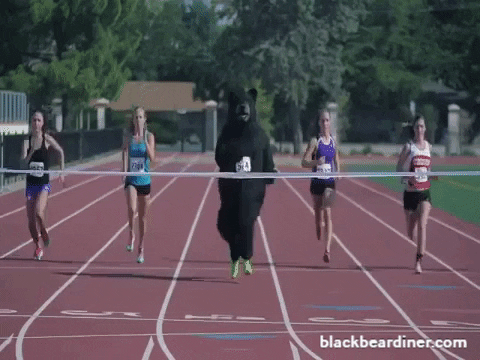 A black bear winning a race against human athletes.