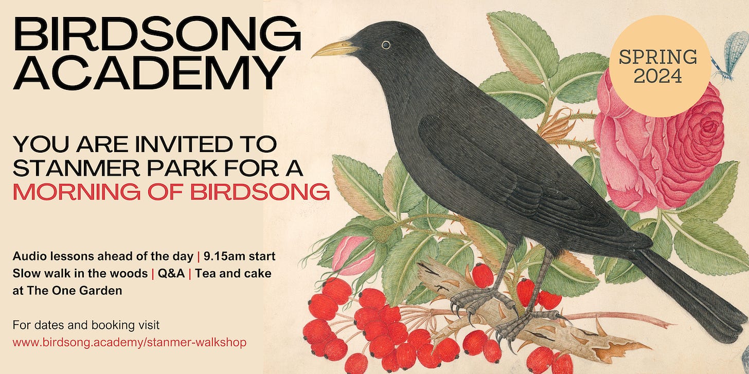 Flyer for Birdsong Academy walkshop in Stanmer Park featuring illustration of a blackbird with berries and a rose